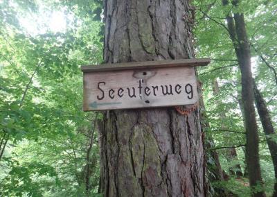 Marienschlucht-trail-3