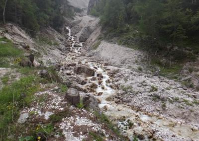 Cortina-Trail-2013-5