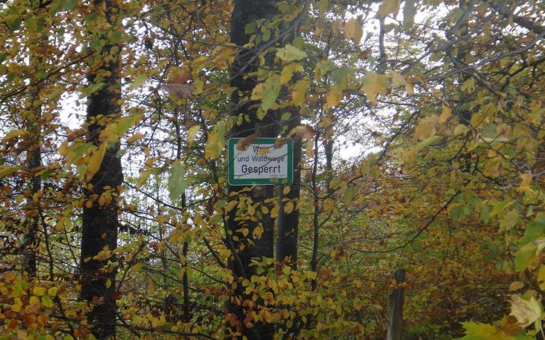 Marienschlucht Trailrunning im November