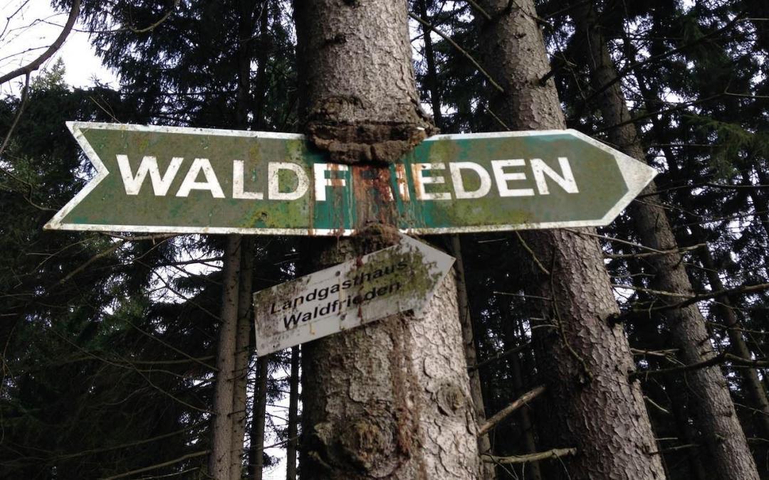 Homerun – oder warum die Heimat viele schöne Trails hat