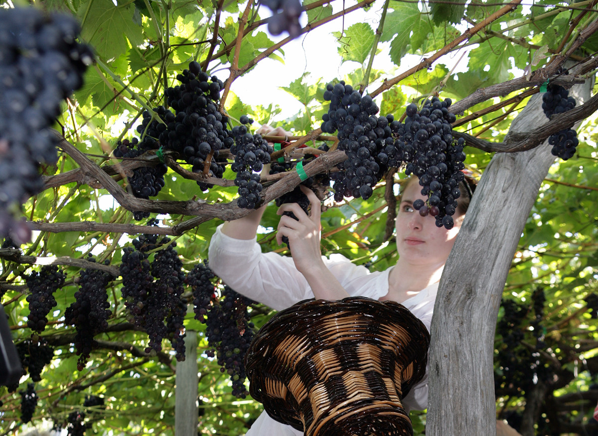 Madeira Weinfest oder der süße Portugiese im Atlantik