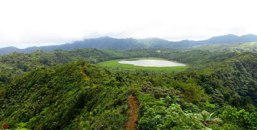 Grenada-Wandern-im-Regenwald-title