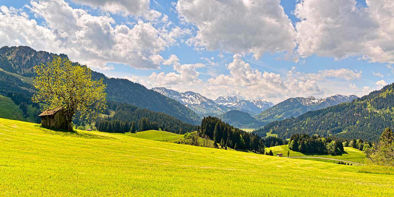 Farbenprächtiges Frühlingserwachen im Tiroler Hochtal