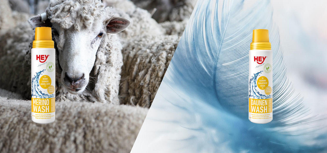 So werden Daune und Merino wieder frisch!